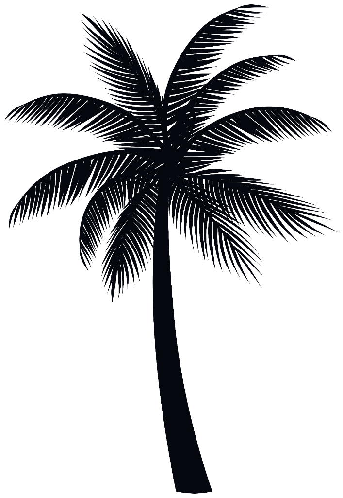 Top Palm Tree